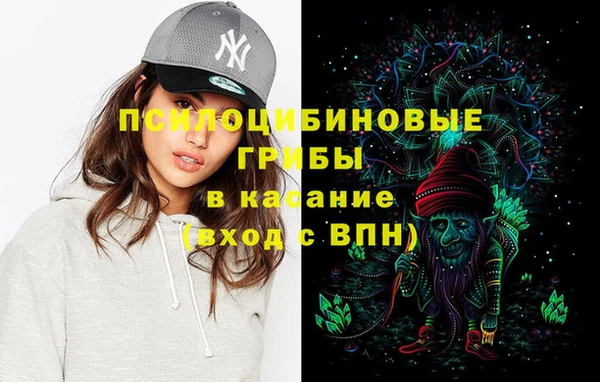 бошки Лабытнанги