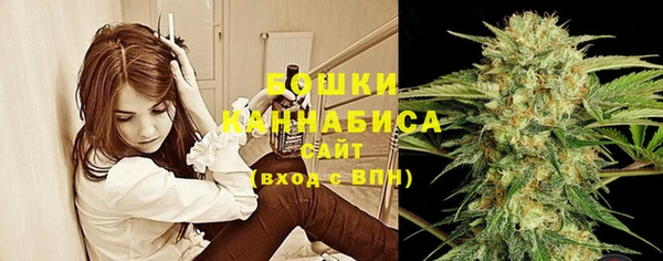 соль ск Ладушкин