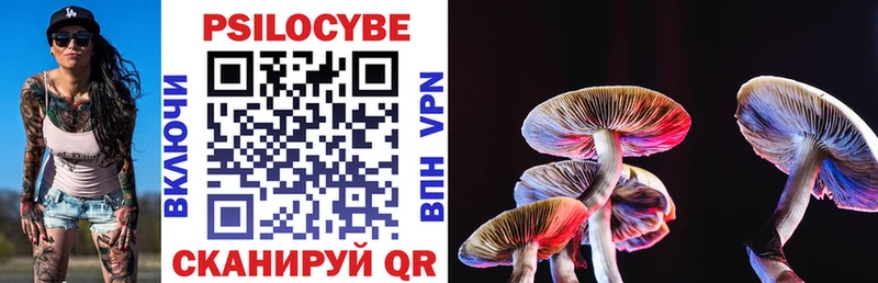 Купить закладки Гудермес Псилоцибиновые грибы ЛСД